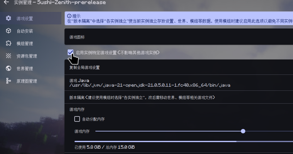 打开版本设置